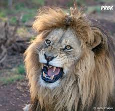 Declaração de imposto de renda de pessoa falecida